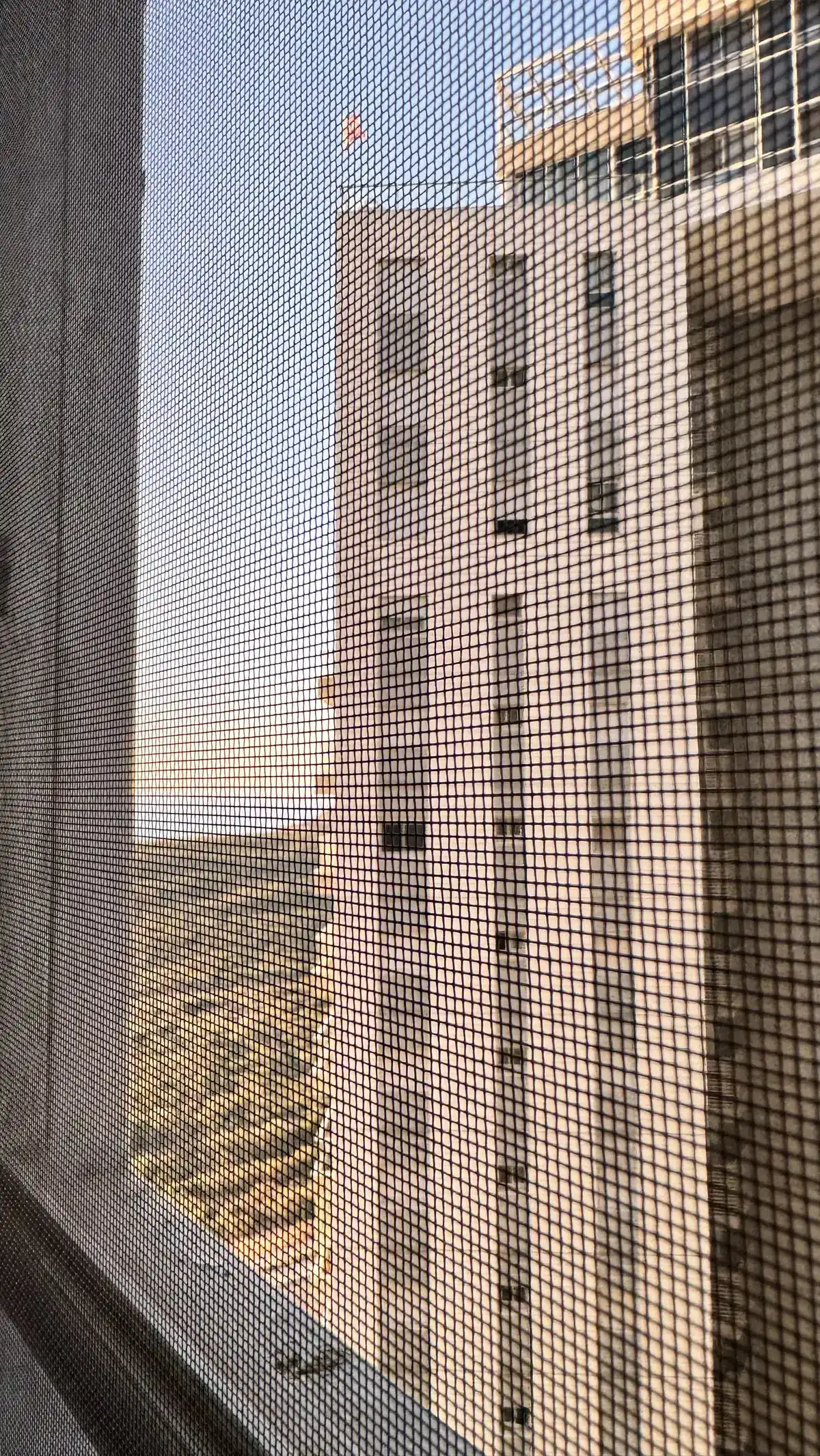 רשת נגד יתושים מותקנת — תקריב על הבד
